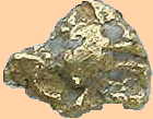 Gold Nugget found during a private gold prospecting lesson